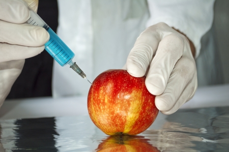 Red apple in genetic engineering laboratory, gmo food concept の写真素材