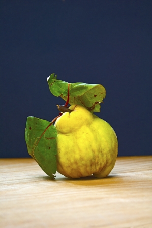 Quince fruits on wooden boardの写真素材