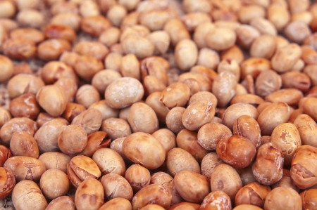 Closeup of mature soy beansの写真素材