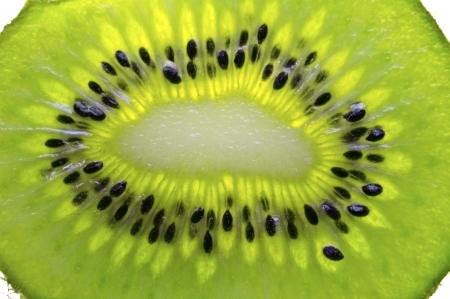 Beautiful slice of fresh juicy kiwiの写真素材