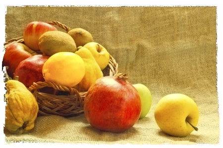 Autumn fruits,  apples, pomegranates, citrus, quince and kiwi の写真素材