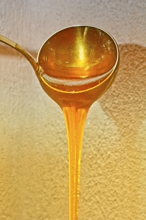 Thick sweet honey pouring from the ladleの写真素材