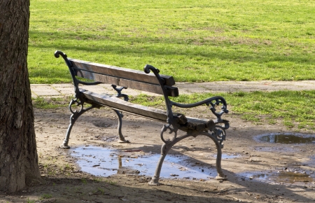Empty wooden bench in the city park の写真素材