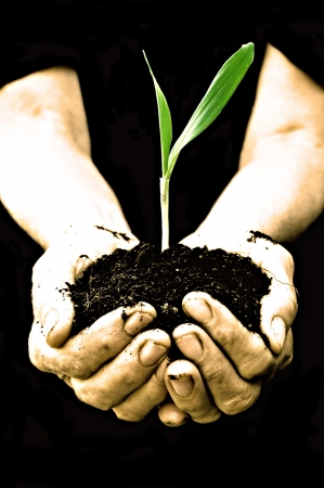 Farmer hand holding a fresh young plant  Symbol of new life and environmental conservation の写真素材