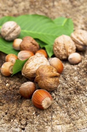 Walnuts and hazelnut on old wooden table  Selective focus with shallow depth of field  の写真素材