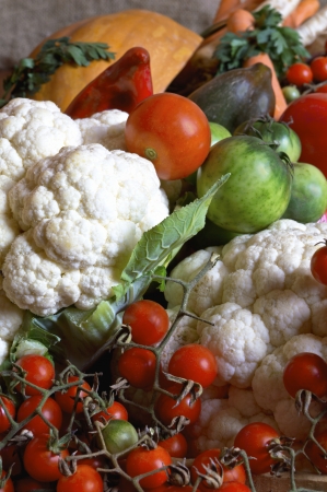 Various assorted organic fresh vegetables from the garden の写真素材