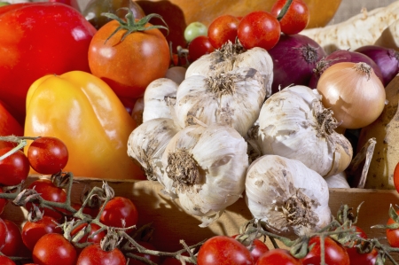 Various assorted organic fresh vegetables from the garden の写真素材