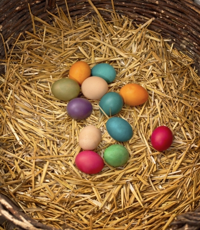 Colorful easter eggs in nest の写真素材
