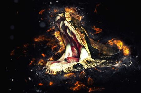 Royal boa, opens mouth. Fire illustration