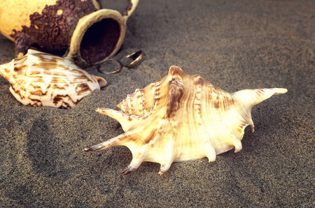 Seashells and amphora with golden rings in the sand on the beach. Selective focus.