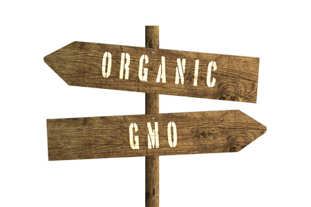 Gmo or Organic Farming Wooden Direction Sign isolated on white background.の写真素材