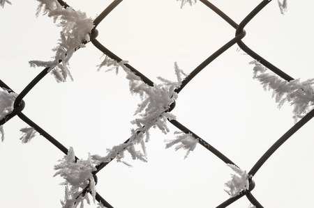 Wire mesh fence covered with frost.の写真素材