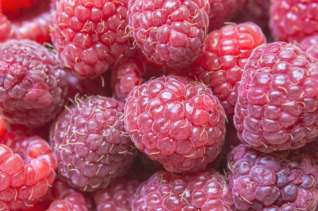 Healthy organic ripe berries. Close up of sweet raspberries fruit.