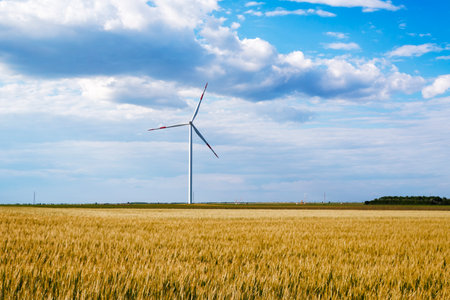 Windmills for electric power production in the field of wheat.の写真素材