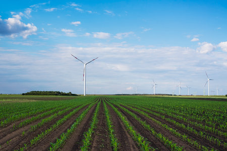 Group of windmills for electric power production in the green corn fieldの写真素材