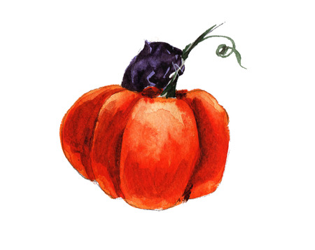 Halloween cat eating pumpkinの写真素材