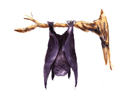 hand drawn Characters halloween bat on three