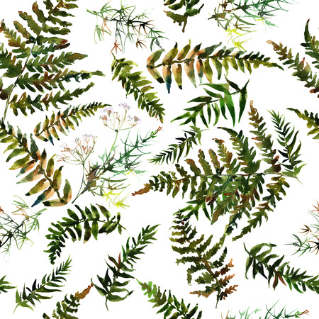 Forest fern leaves ornament patternの写真素材