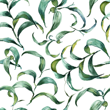 Forest fern leaves ornament patternの写真素材