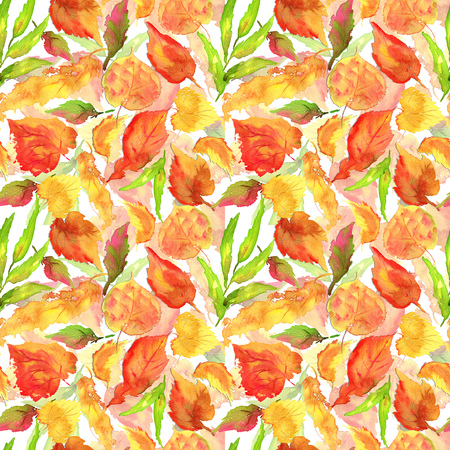 Hand drawing watercolor yellow autumn birch leaves patternの写真素材