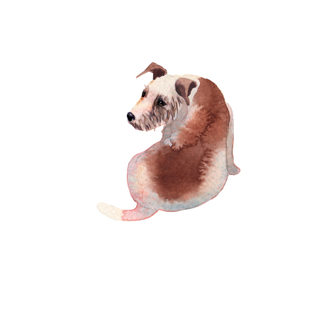 JackRussel terier dog puppy hand drawing watercolorの写真素材
