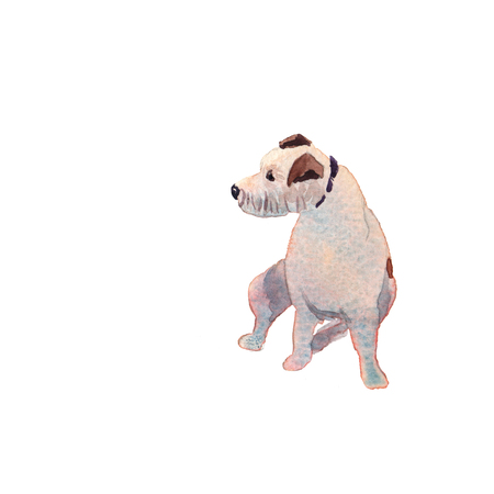 JackRussel terier dog puppy hand drawing watercolorの写真素材