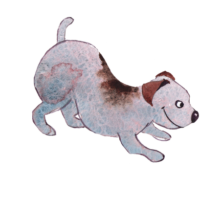 JackRussel terrier dog puppy hand drawing watercolorの写真素材