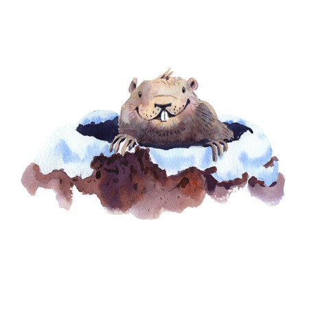 Happy Groundhog Day - hand drawing watercolor groundhog illustrationの写真素材