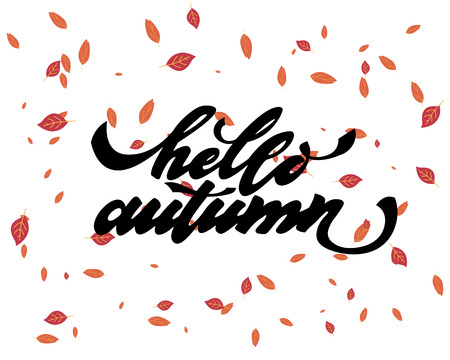 Hello autumn. Hand drawn calligraphy and brush pen lettering. design for holiday greeting card and invitation of seasonal autumnholiday.のイラスト素材