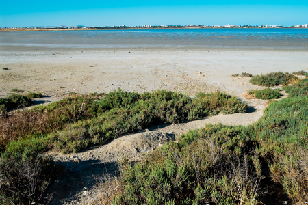 Beautiful Salt Lake in Larnaca, Cyprus. Natural background. Landscapeの写真素材