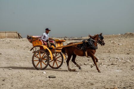 Giza, Egypt - 2018: Front view of tourists in a horse-drawn carriage with the ancient pyramids of Giza on backgroundのeditorial素材