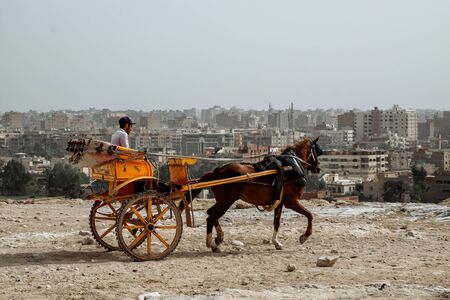 Giza, Egypt - 2018: Front view of tourists in a horse-drawn carriage with the ancient pyramids of Giza on backgroundのeditorial素材