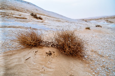 White Desert, Farafra, Egyptの写真素材