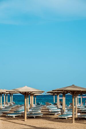Sunny resort beach with palm tree at the coast shore of Red Sea in Sharm el Sheikh, Sinai, Egypt, Asia in summer hot. Bright sunny lightのeditorial素材