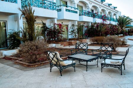 Beautiful bright pink bougainvillea flowers in luxury resort hotel in Egyptのeditorial素材