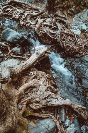 Caledonia waterfall at Troodos mountains on Cyprusの写真素材