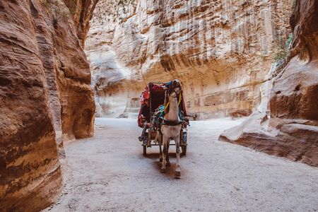 Petra, Jordan - May 2018: Horse-drawn carriage moving in the narrow canyon valley in the Ancient City.のeditorial素材