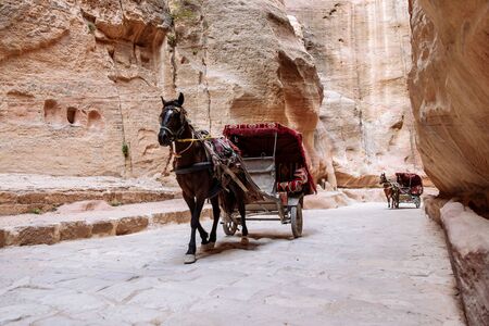 Petra, Jordan - May 2018: Horse-drawn carriage moving in the narrow canyon valley in the Ancient City.のeditorial素材