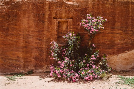 Ruins of Petra, the capital of the kingdom of the Nabateans in ancient times. UNESCO World Heritage
