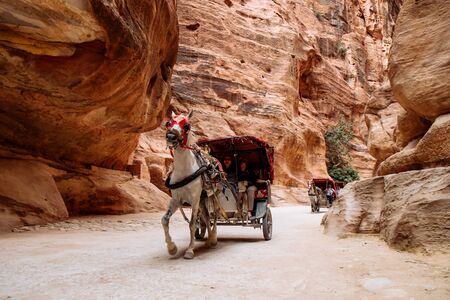 Petra, Jordan - May 2018: Horse-drawn carriage moving in the narrow canyon valley in the Ancient City.のeditorial素材
