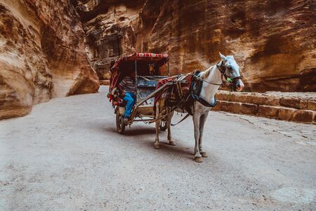 Petra, Jordan - May 2018: Horse-drawn carriage moving in the narrow canyon valley in the Ancient City.のeditorial素材