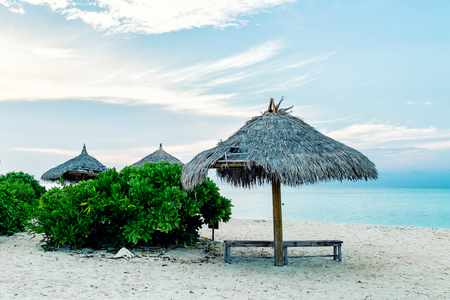 Travel and rest on the Maldives - paradise islands. Picnic island.の写真素材