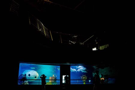 MANILA, PHILIPPINES - MARCH 17: Underwater tunnel , Manila, Philippines. In terms of floor space, oceanarium is larger than oceanarium in Singapore, features a 25-metre tunnelのeditorial素材