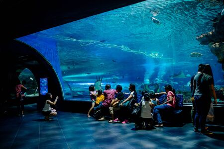 MANILA, PHILIPPINES - MARCH 17: Underwater tunnel , Manila, Philippines. In terms of floor space, oceanarium is larger than oceanarium in Singapore, features a 25-metre tunnelのeditorial素材