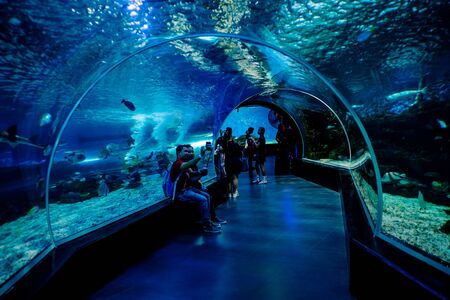 MANILA, PHILIPPINES - MARCH 17: Underwater tunnel , Manila, Philippines. In terms of floor space, oceanarium is larger than oceanarium in Singapore, features a 25-metre tunnelのeditorial素材