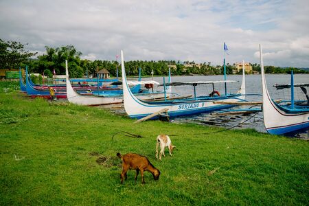 Phishing boat on a shore of beautiful Lake Taal, Philippines. Landscape of Luzon Island with volcano on the lake that changed the area geometry a few centuries ago. Dec 2018, Philippinesのeditorial素材