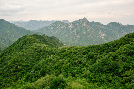 Great Wall of China in Summer. Mutianyu section near Beijing. Mayの写真素材