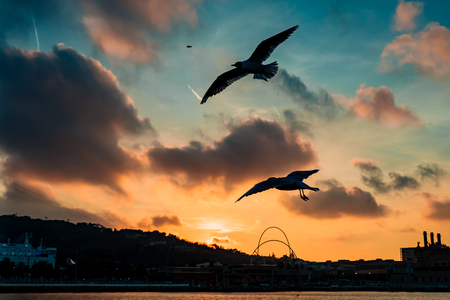 Barceloneta Beach in Barcelona with colorful sky at sunrise. Seafront, beach,coast in Spain. Suburb of Barcelona, Cataloniaの写真素材
