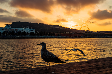 Barceloneta Beach in Barcelona with colorful sky at sunrise. Seafront, beach,coast in Spain. Suburb of Barcelona, Cataloniaの写真素材