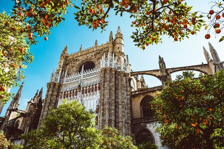 Spain, Andalusia, Seville, the Cathedral bell tower seen from the orange tree courtyard. 2019 Februaryのeditorial素材
